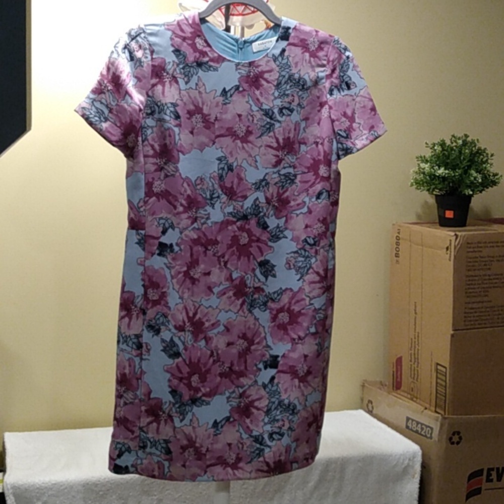 Babaton Patricio dress